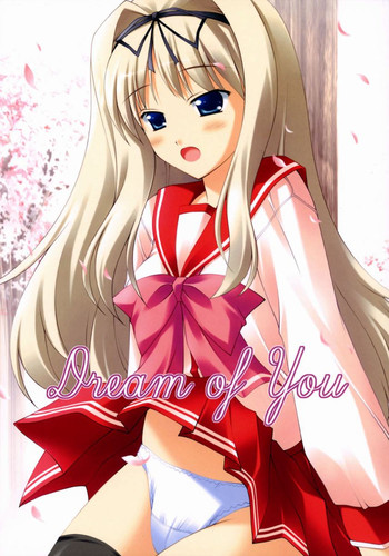 (サンクリ30) [NIRVANA SOFT (ひろにい)] Dream of You (トゥハート2)