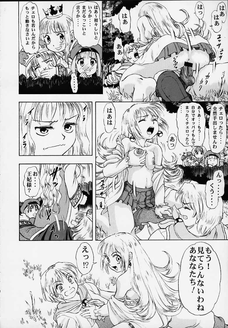 (C58) [スタジオ・ワラビー (深紫'72、かねことしあき、蔵王)] 王国のないしょ (マール王国の人形姫)