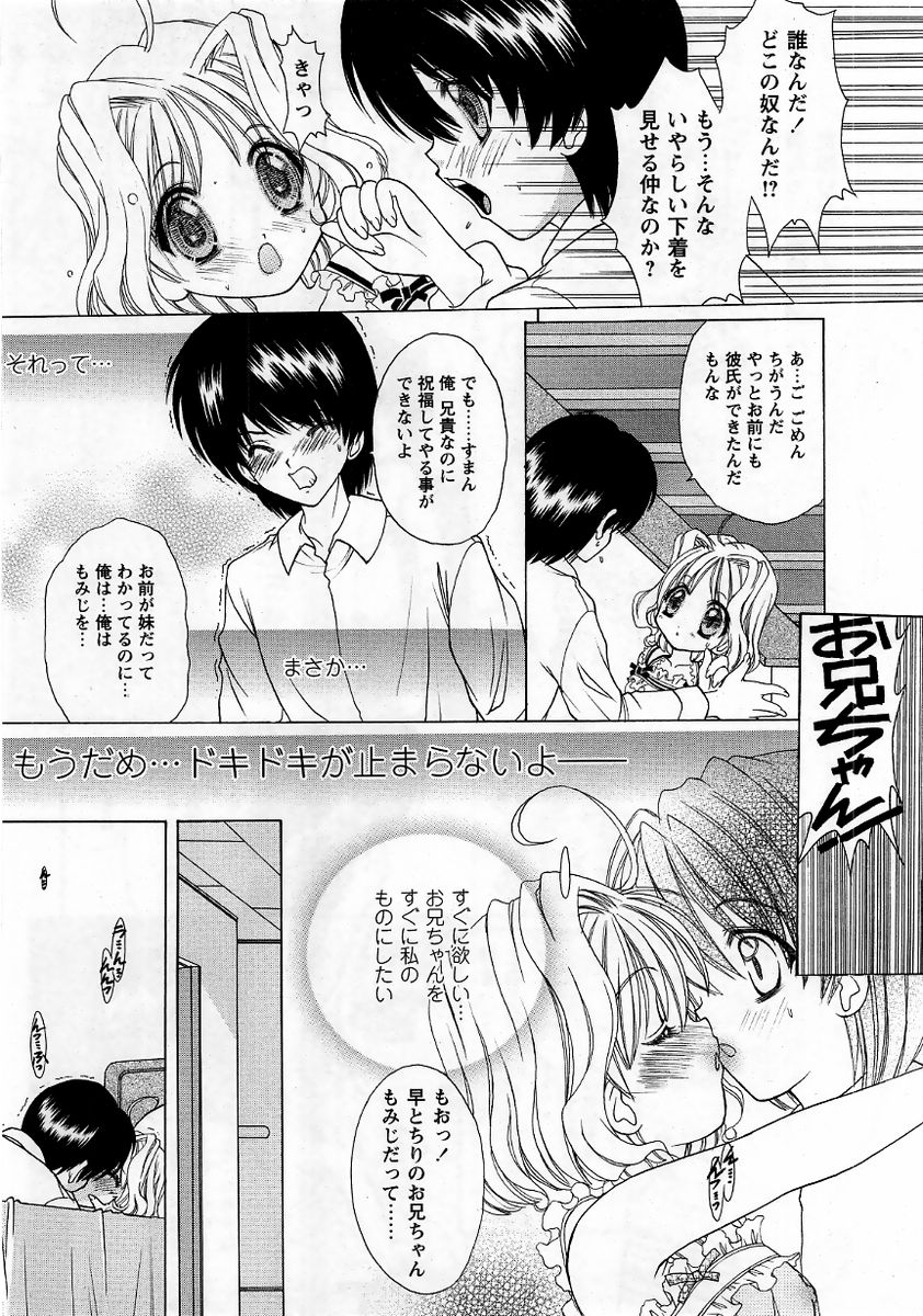 コミック・マショウ 2006年1月号
