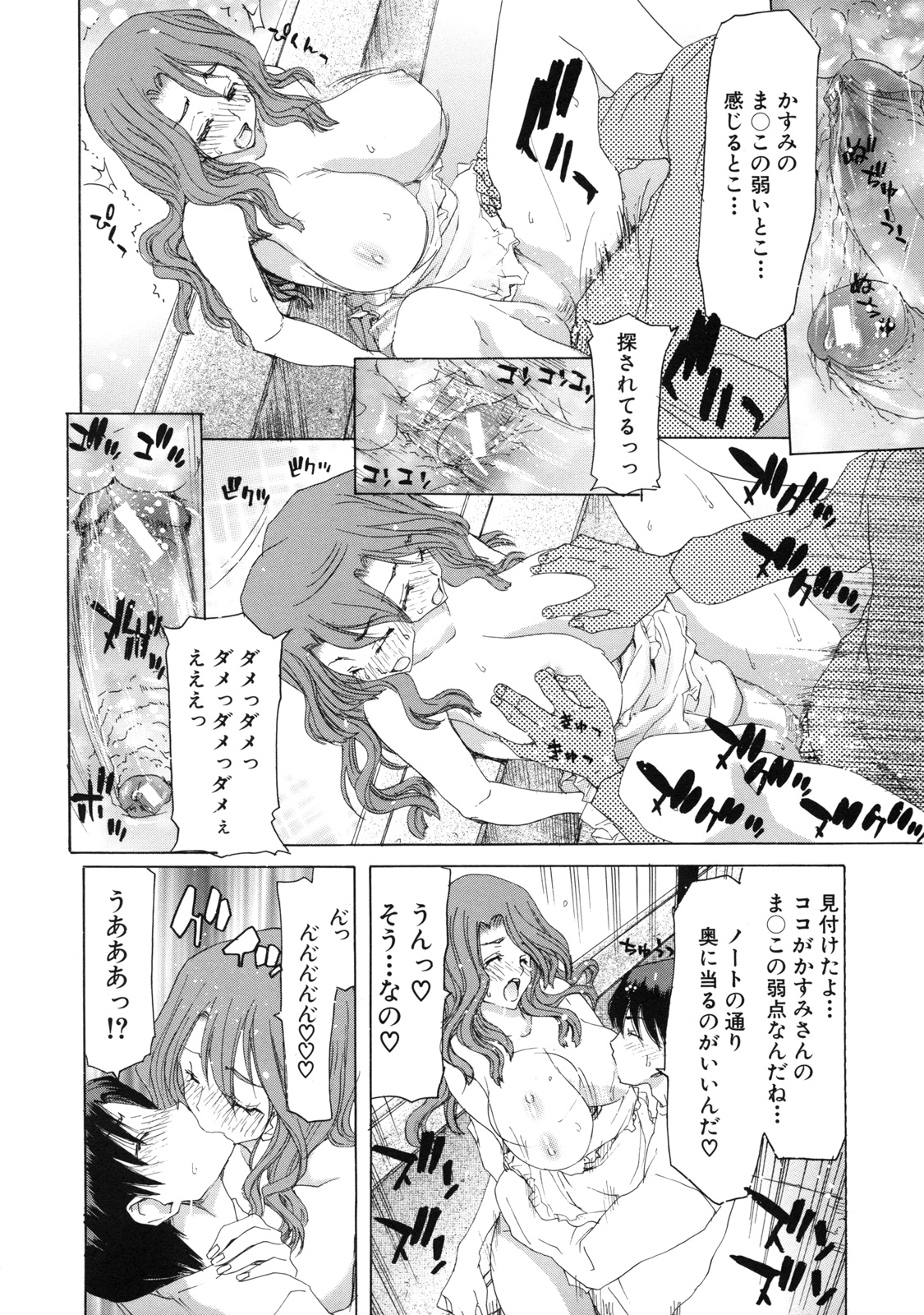 [堀博昭] 僕の愛玩具