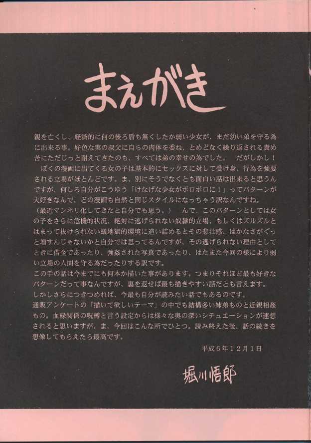 (C47) [サークル太平天国 (堀川悟郎)] 姉弟哀