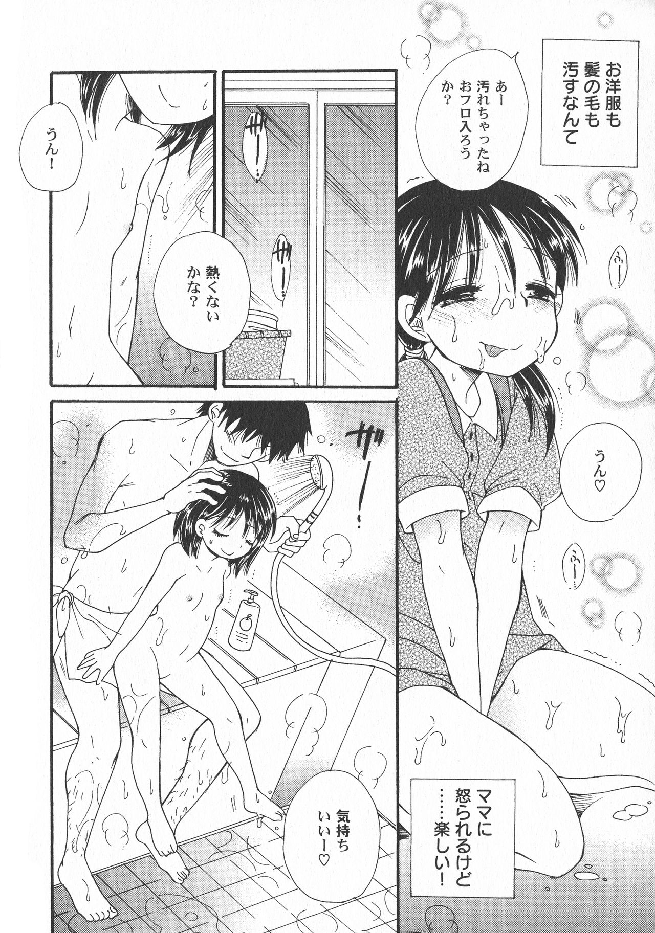 LoLiN はるが来た号