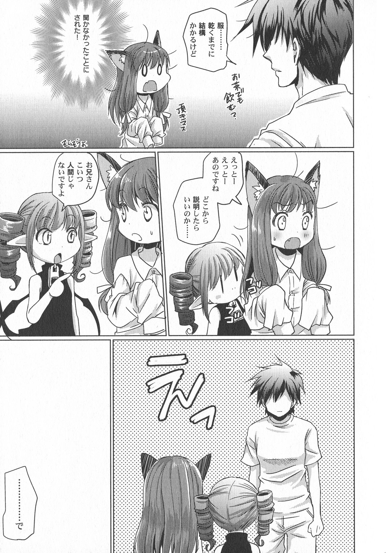LoLiN はるが来た号