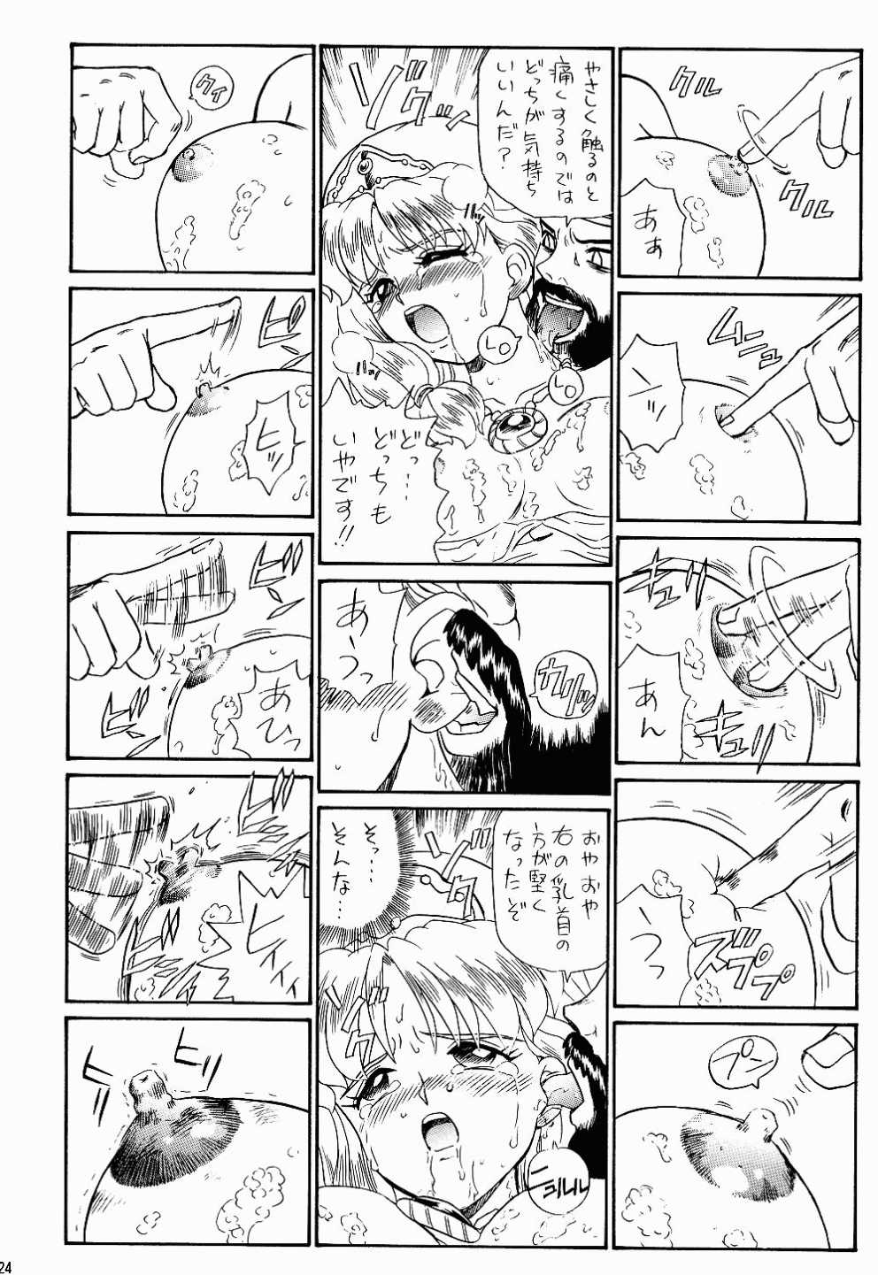 (C52) [RAT TAIL (IRIE YAMAZAKI)] PRINCESS SISTERS NIGHT TWO [ページ欠落]