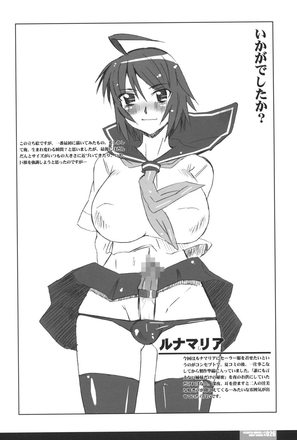 (C73) [HGH (HG茶川)] PLEATED GUNNER #17 NIGHT HAWKS IV (機動戦士ガンダムSEED DESTINY)