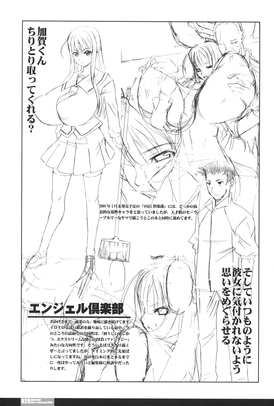 (C73) [HGH (HG茶川)] PLEATED GUNNER #17 NIGHT HAWKS IV (機動戦士ガンダムSEED DESTINY)