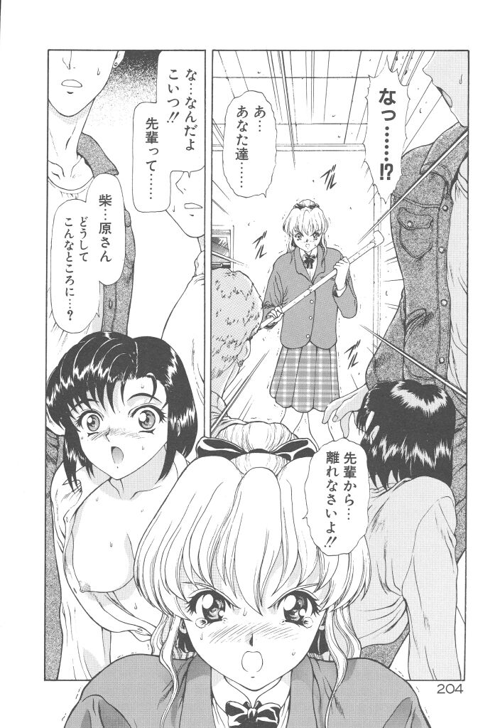 [向正義] 背徳の彼方