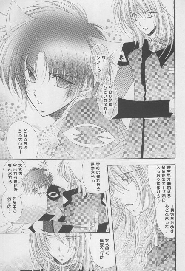 (C68) [睦春 (加賀未春樹)] 猫耳増量中 (機動戦士ガンダムSEED DESTINY) [ページ欠落]
