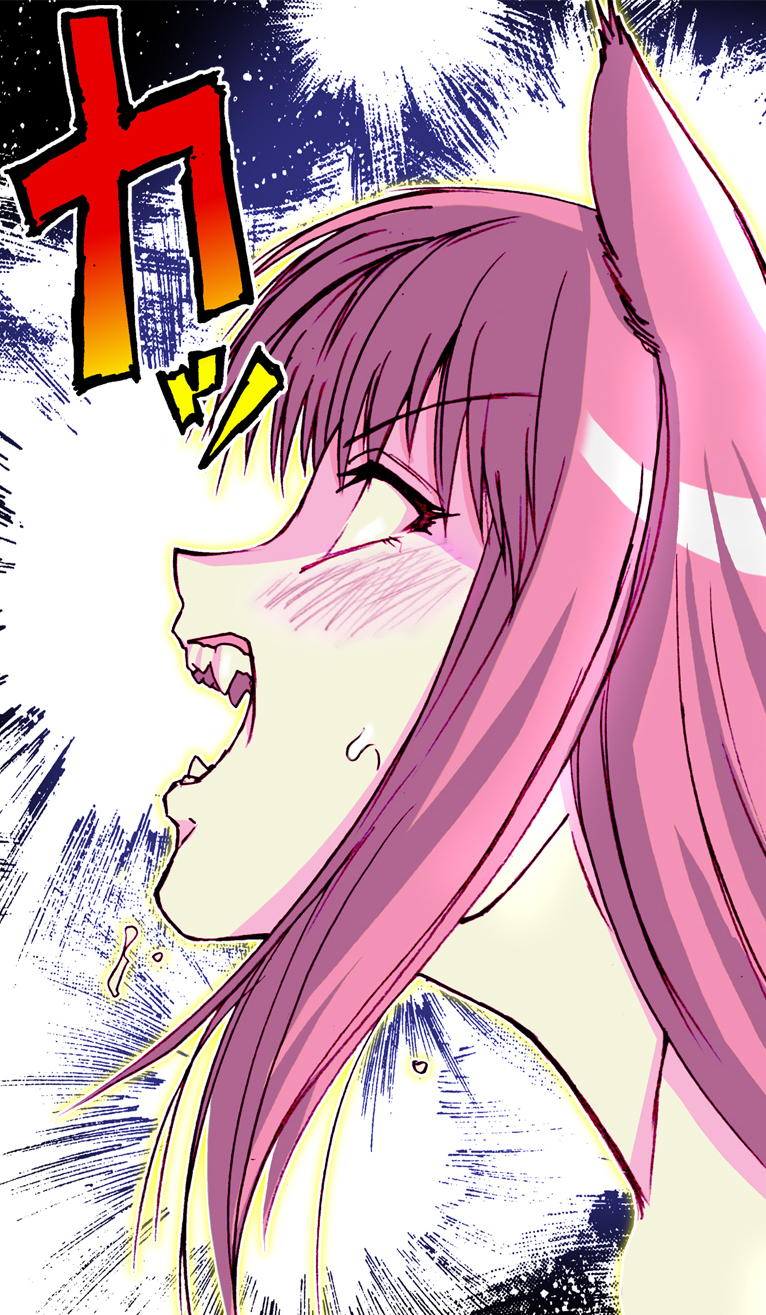 (サンクリ38) [雷神会 (はるきゲにあ)] ウルフロード (狼と香辛料) [色]