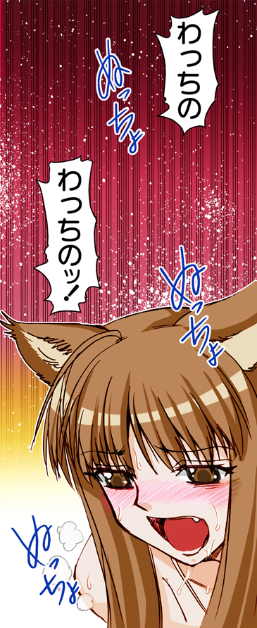 (サンクリ38) [雷神会 (はるきゲにあ)] ウルフロード (狼と香辛料) [色]