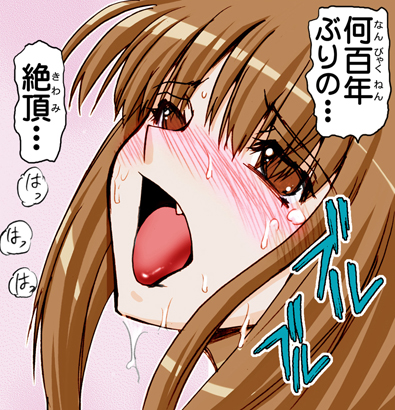 (サンクリ38) [雷神会 (はるきゲにあ)] ウルフロード (狼と香辛料) [色]