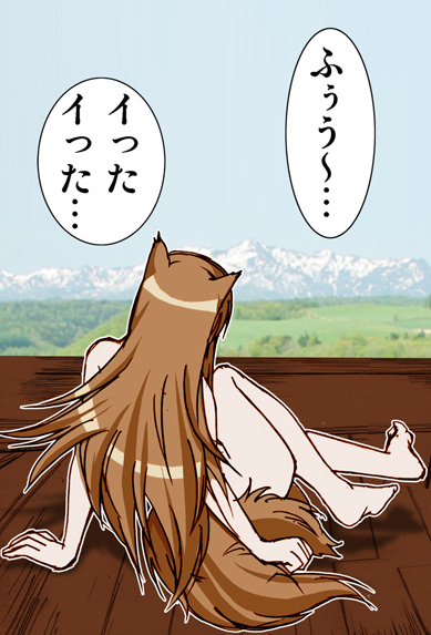 (サンクリ38) [雷神会 (はるきゲにあ)] ウルフロード (狼と香辛料) [色]