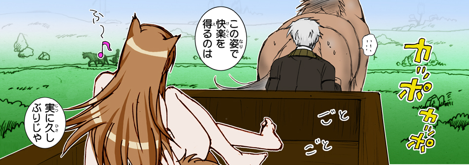 (サンクリ38) [雷神会 (はるきゲにあ)] ウルフロード (狼と香辛料) [色]