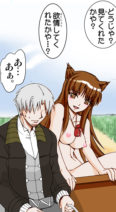 (サンクリ38) [雷神会 (はるきゲにあ)] ウルフロード (狼と香辛料) [色]