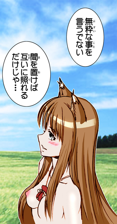 (サンクリ38) [雷神会 (はるきゲにあ)] ウルフロード (狼と香辛料) [色]