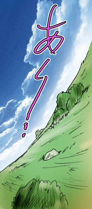 (サンクリ38) [雷神会 (はるきゲにあ)] ウルフロード (狼と香辛料) [色]