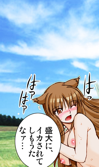 (サンクリ38) [雷神会 (はるきゲにあ)] ウルフロード (狼と香辛料) [色]