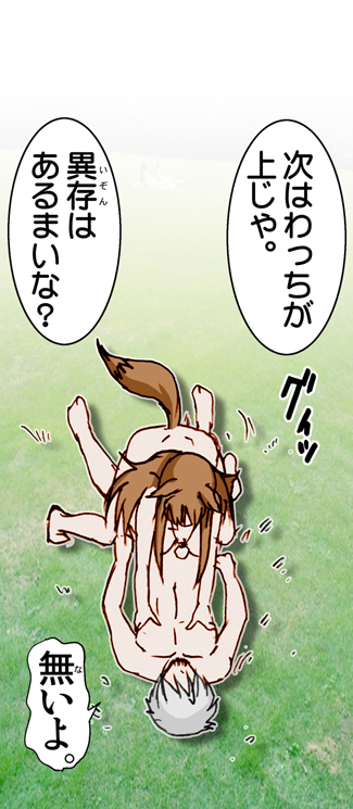(サンクリ38) [雷神会 (はるきゲにあ)] ウルフロード (狼と香辛料) [色]