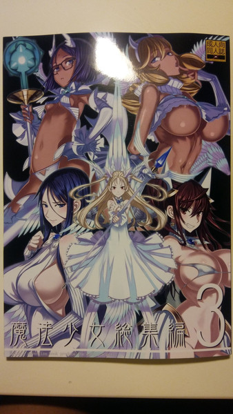 (C87) [絶対少女 (Raita)] 魔法少女総集編 3（ページ不全）（カメラ版）