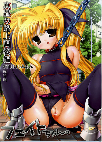 (サンクリ36) [STUDIOふあん (来鈍)] フェイトちゃん。真昼の路上調教編 (魔法少女リリカルなのは)