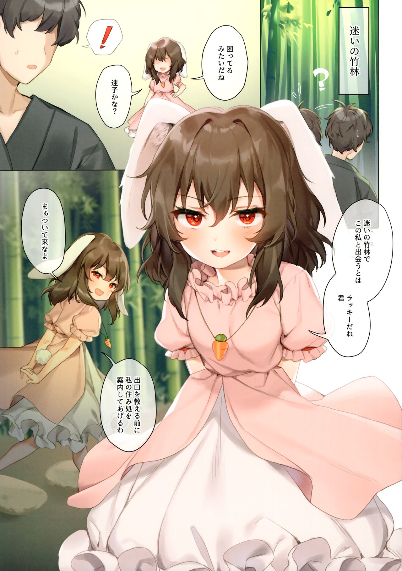 (C95) [somnia (Hajin)] てゐと一晩中 (東方Project)