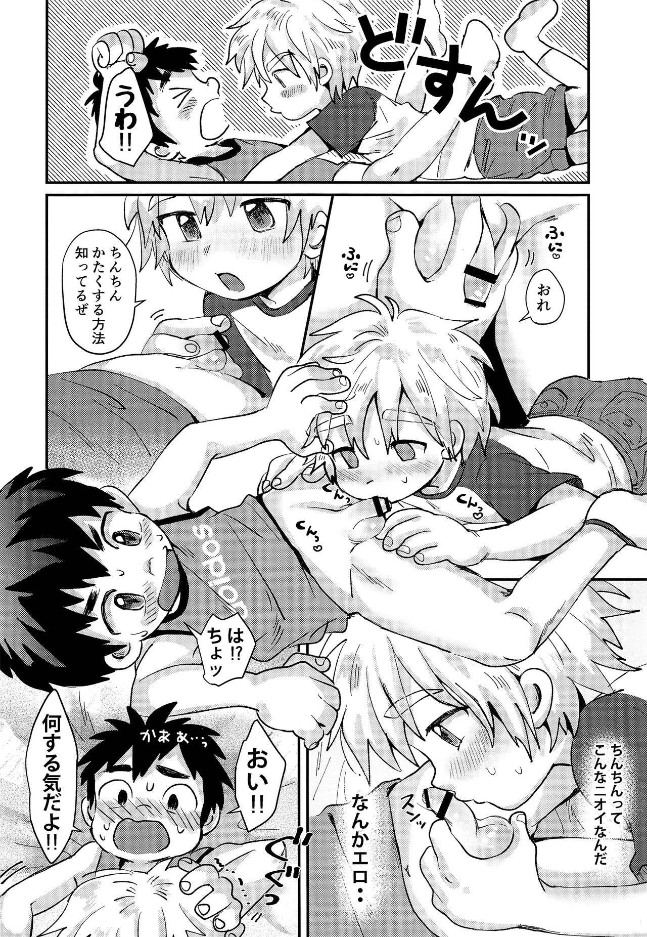 【スイカノタネ（橋暮）】木王のはなし