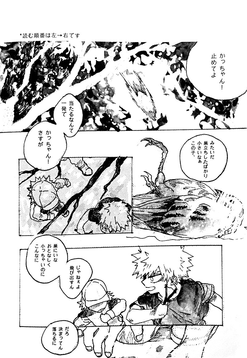 [kosho]遙かなるかなたe