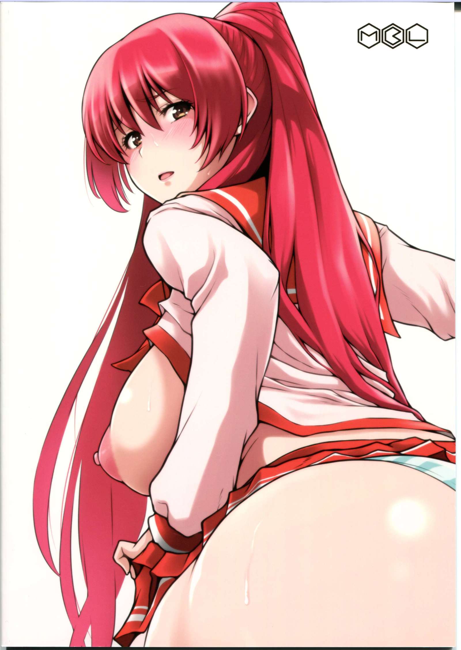 あねたま-高坂玉城ファンブック-