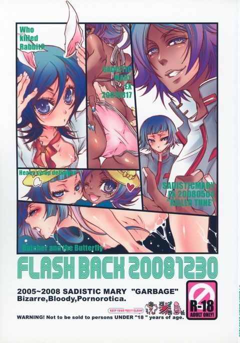 フラッシュバック20081230 フラッシュバック20081230