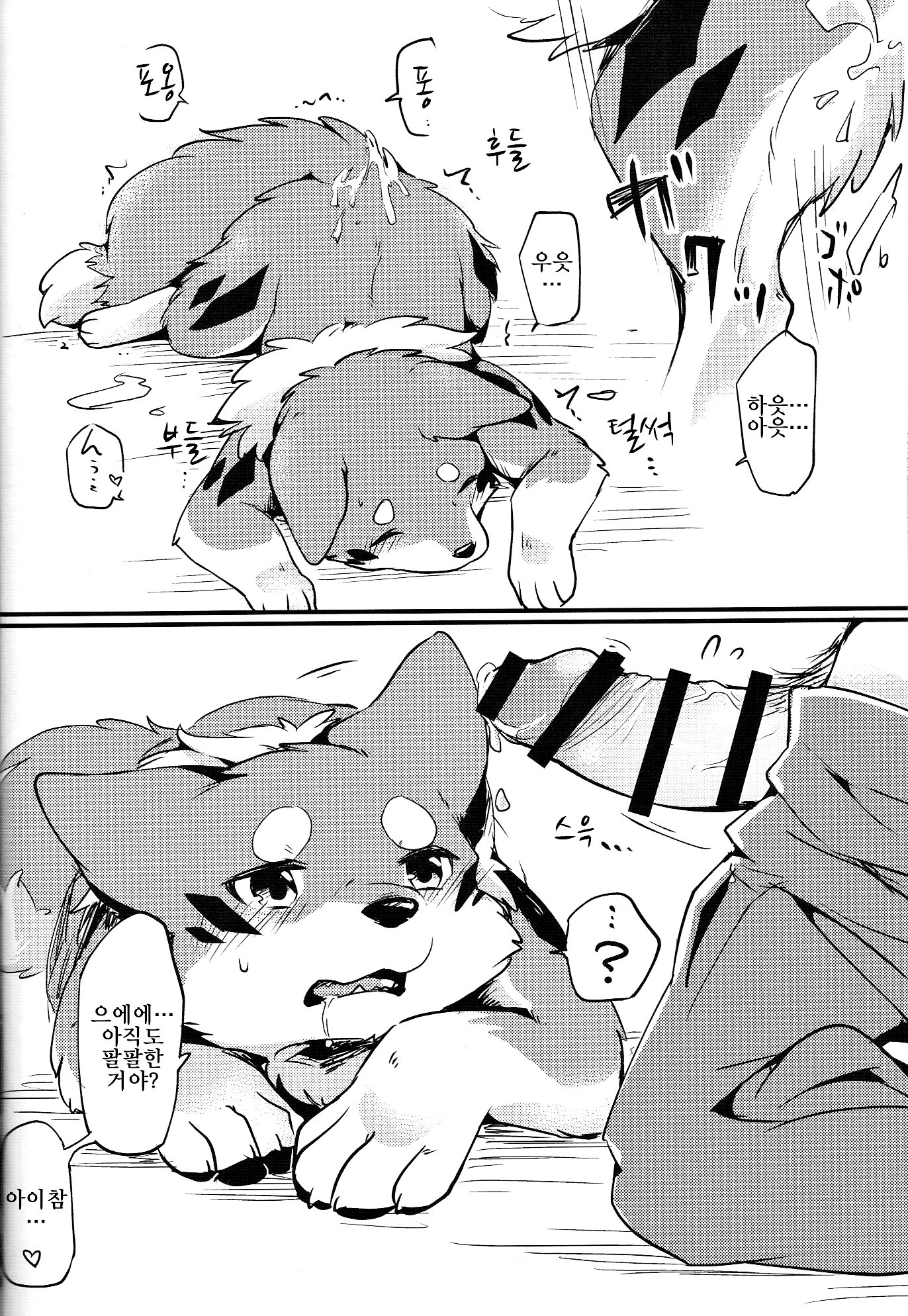 きつねぬとあそぼ!! | 여우개랑놀자앗!! きつねぬとあそぼ!! | 여우개랑놀자앗!!