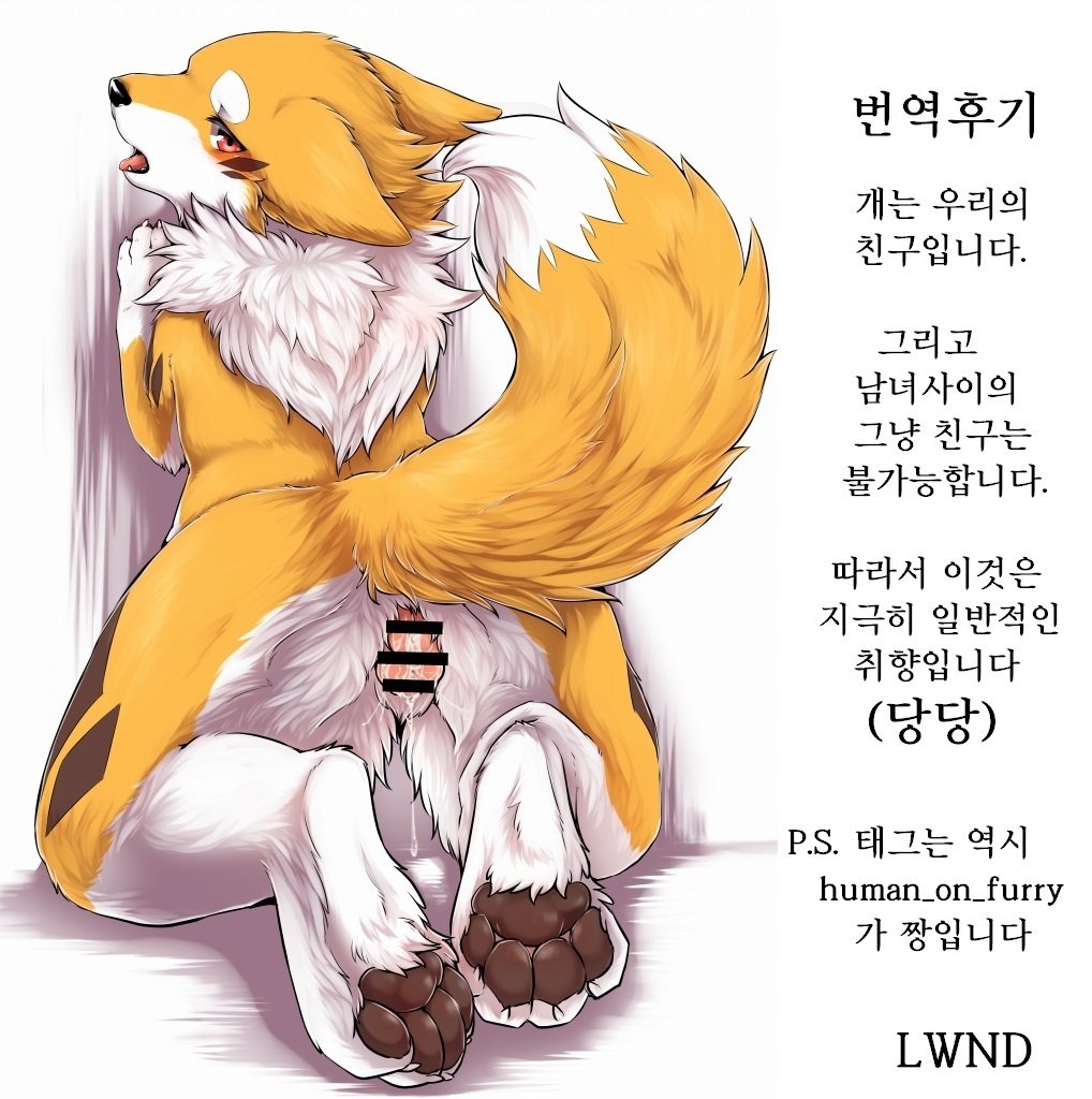 きつねぬとあそぼ!! | 여우개랑놀자앗!! きつねぬとあそぼ!! | 여우개랑놀자앗!!