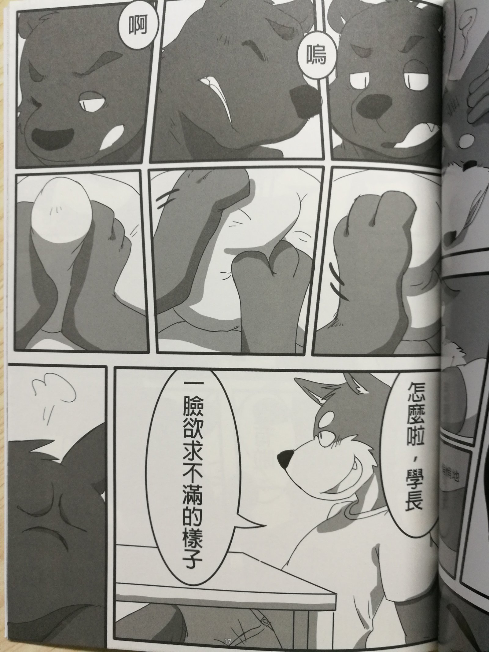 くま先輩