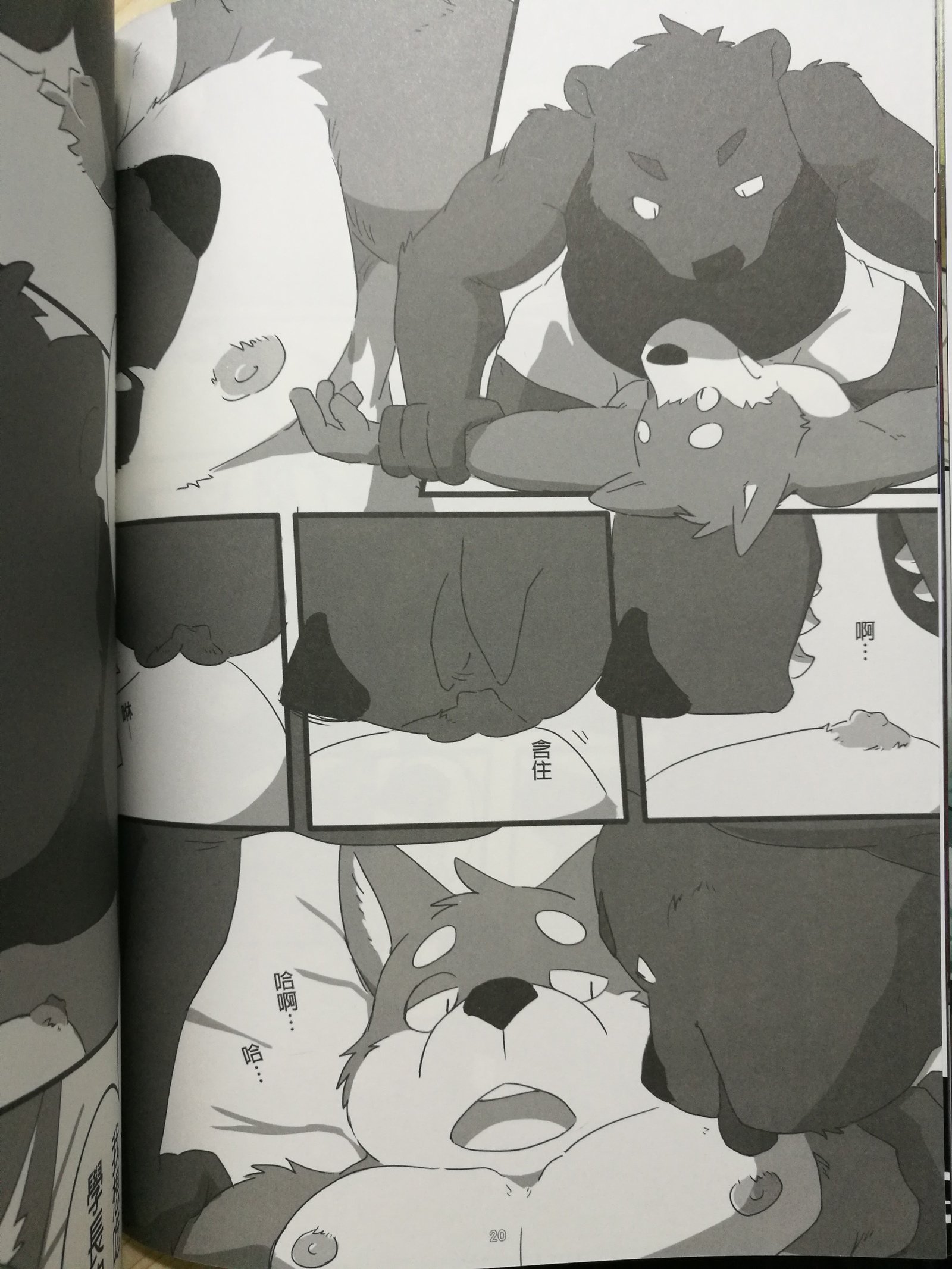 くま先輩