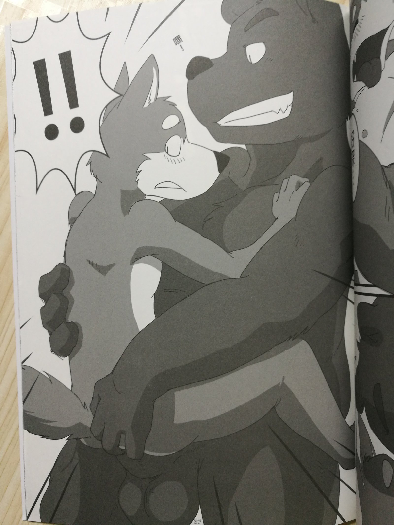 くま先輩