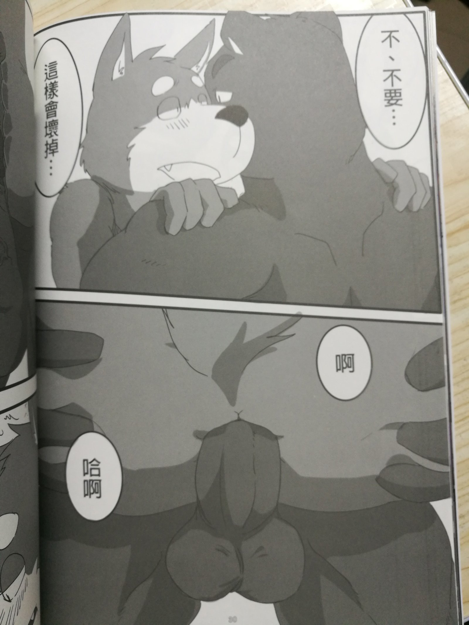 くま先輩