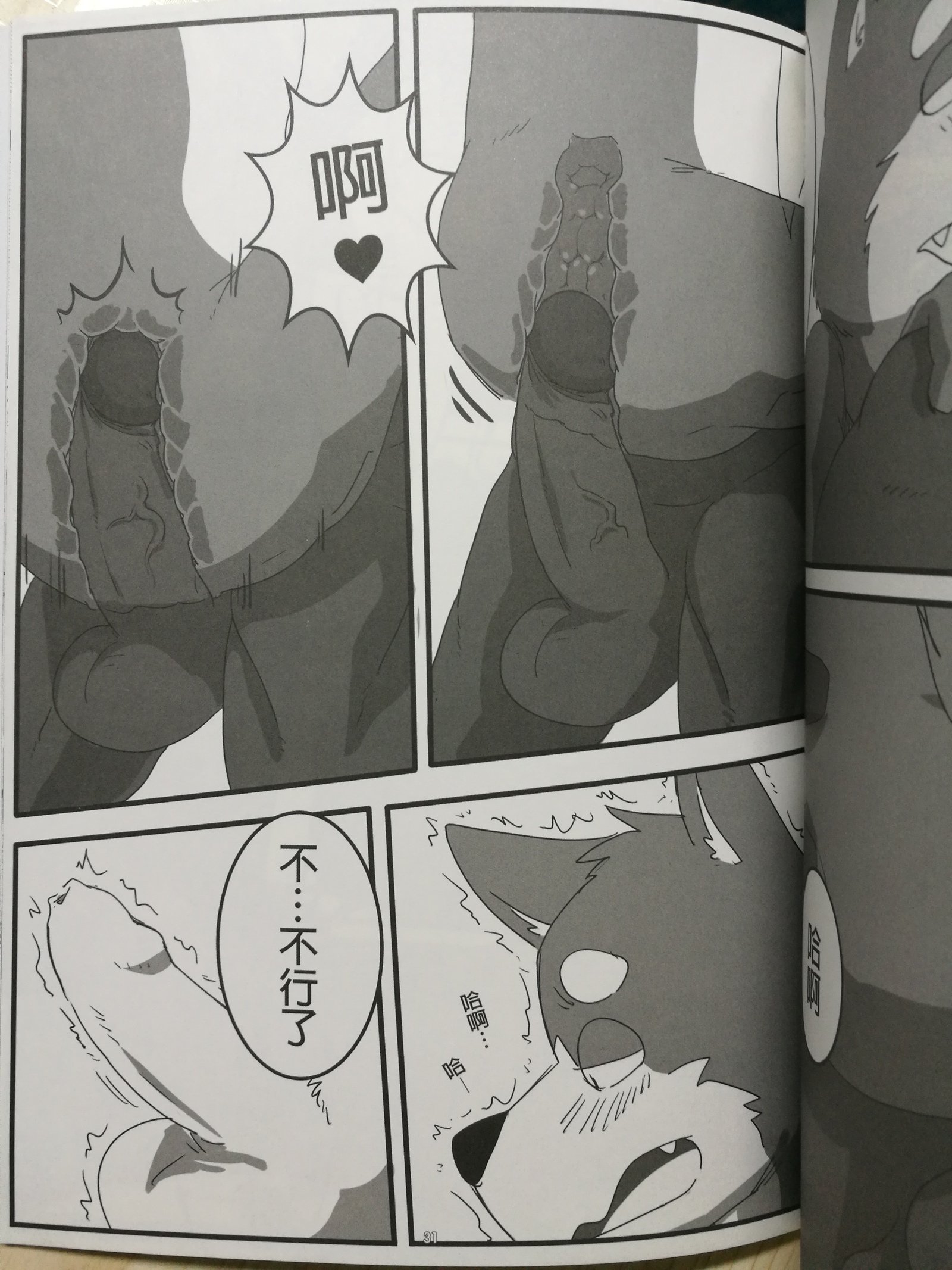 くま先輩