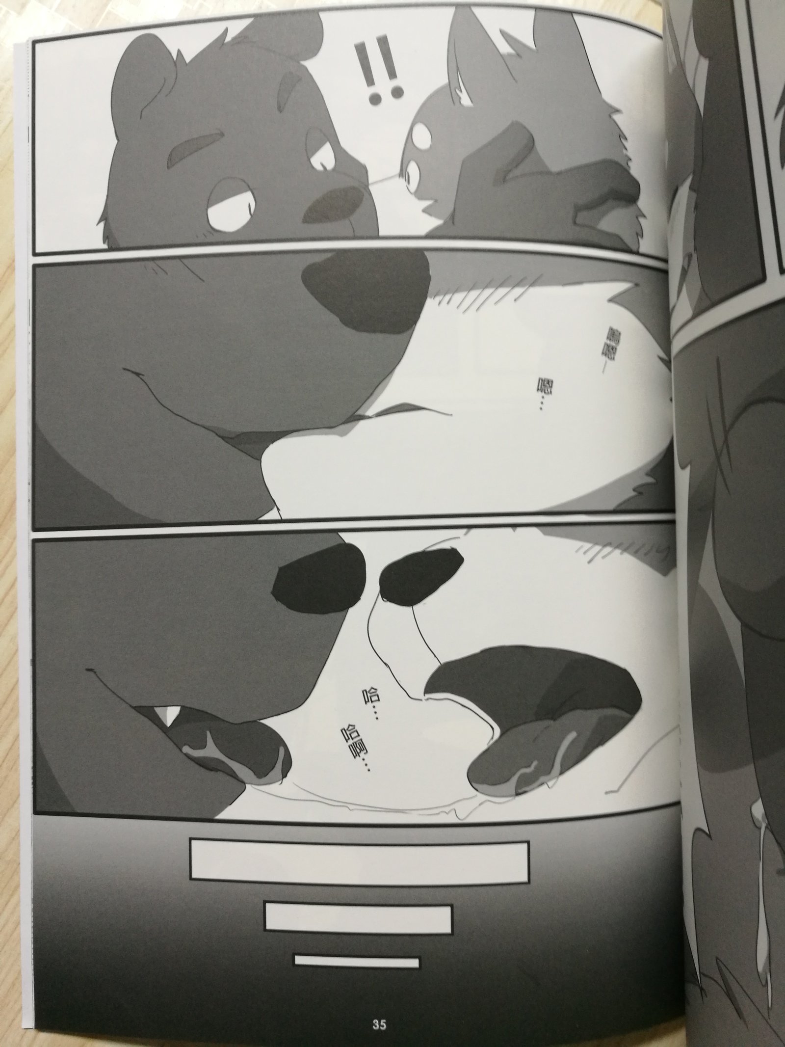くま先輩