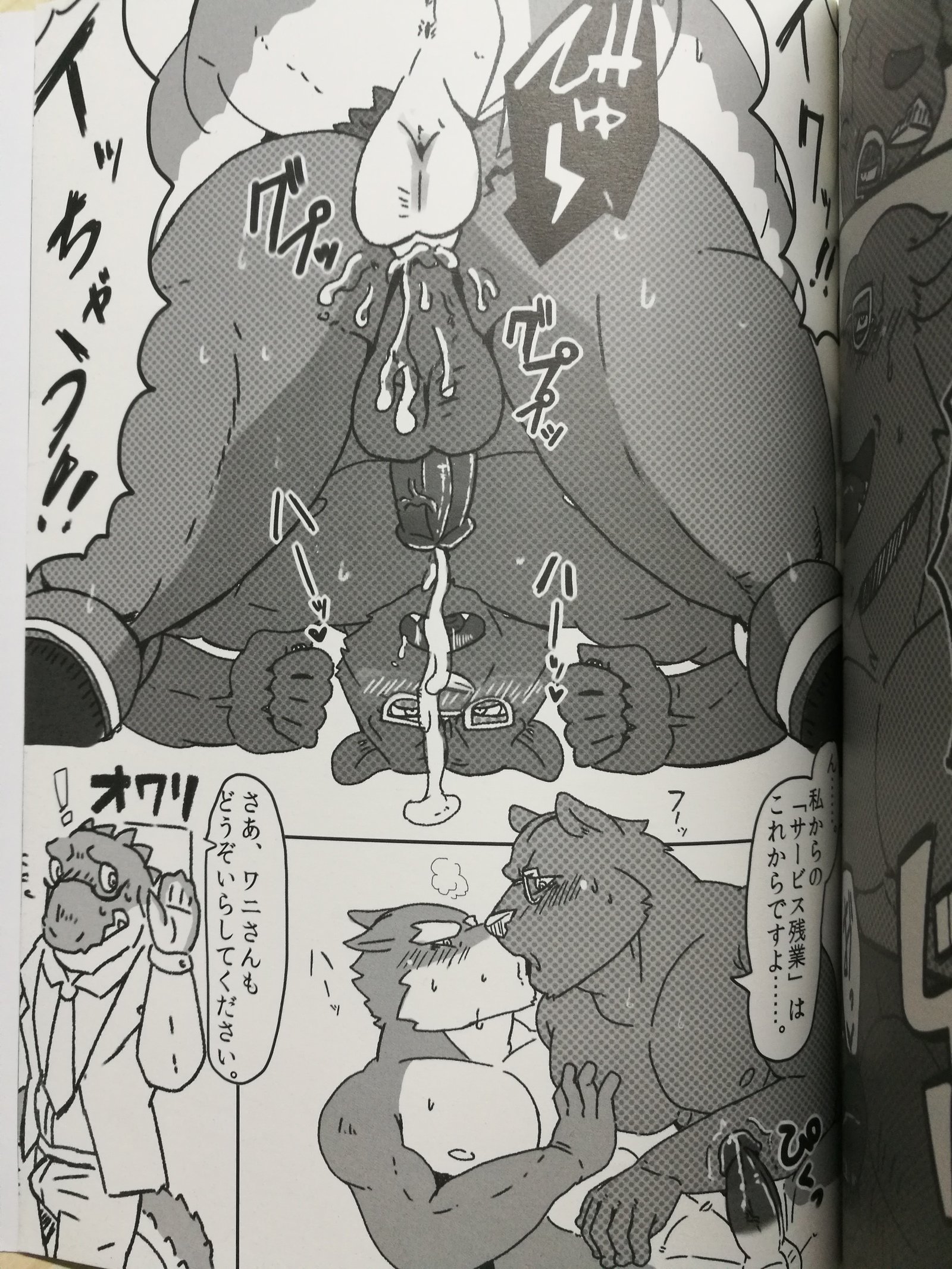 くま先輩