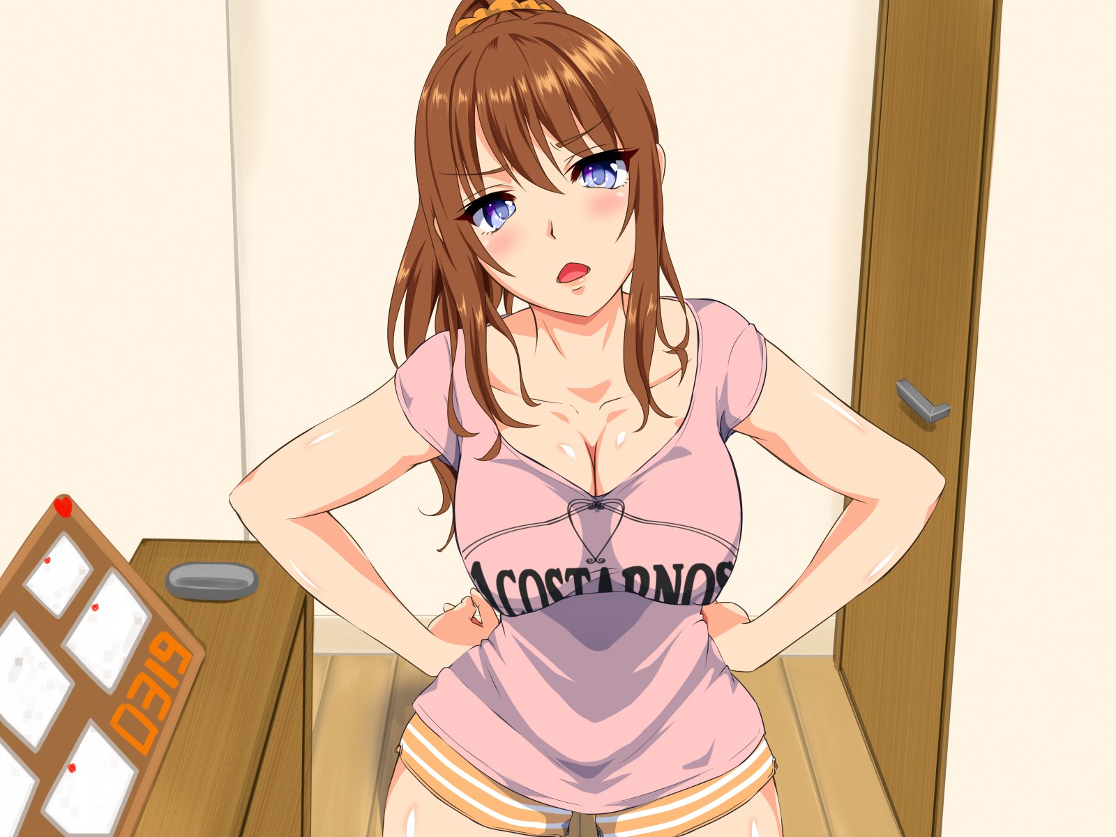 デイスイヒトズマ-Kouenni Ochiteta Nama Onaho-