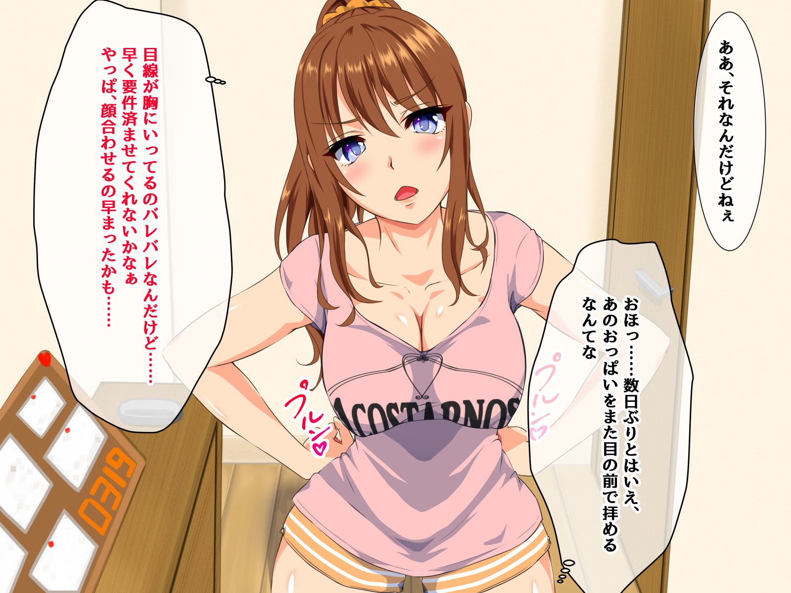 デイスイヒトズマ-Kouenni Ochiteta Nama Onaho-