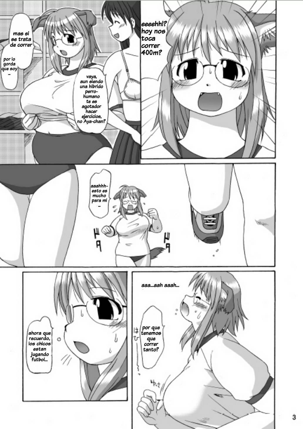 丸犬