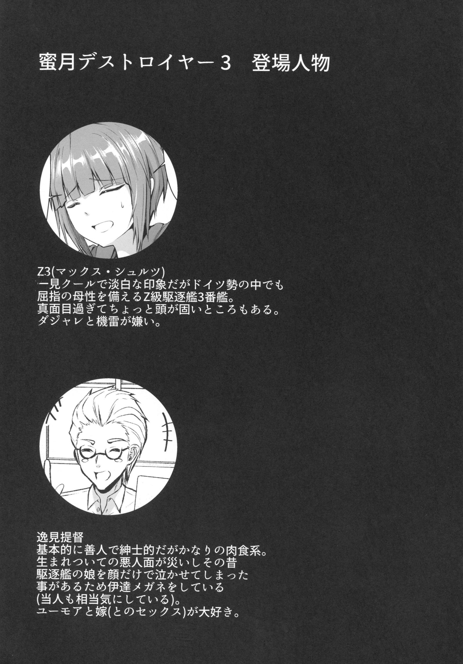 ミツゲツ駆逐艦3 ミツゲツ駆逐艦3