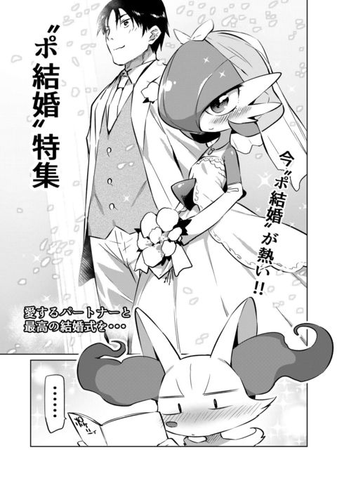 ポケコン+α ポケコン+α