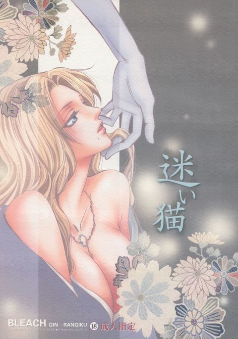 迷い猫オーバーラン