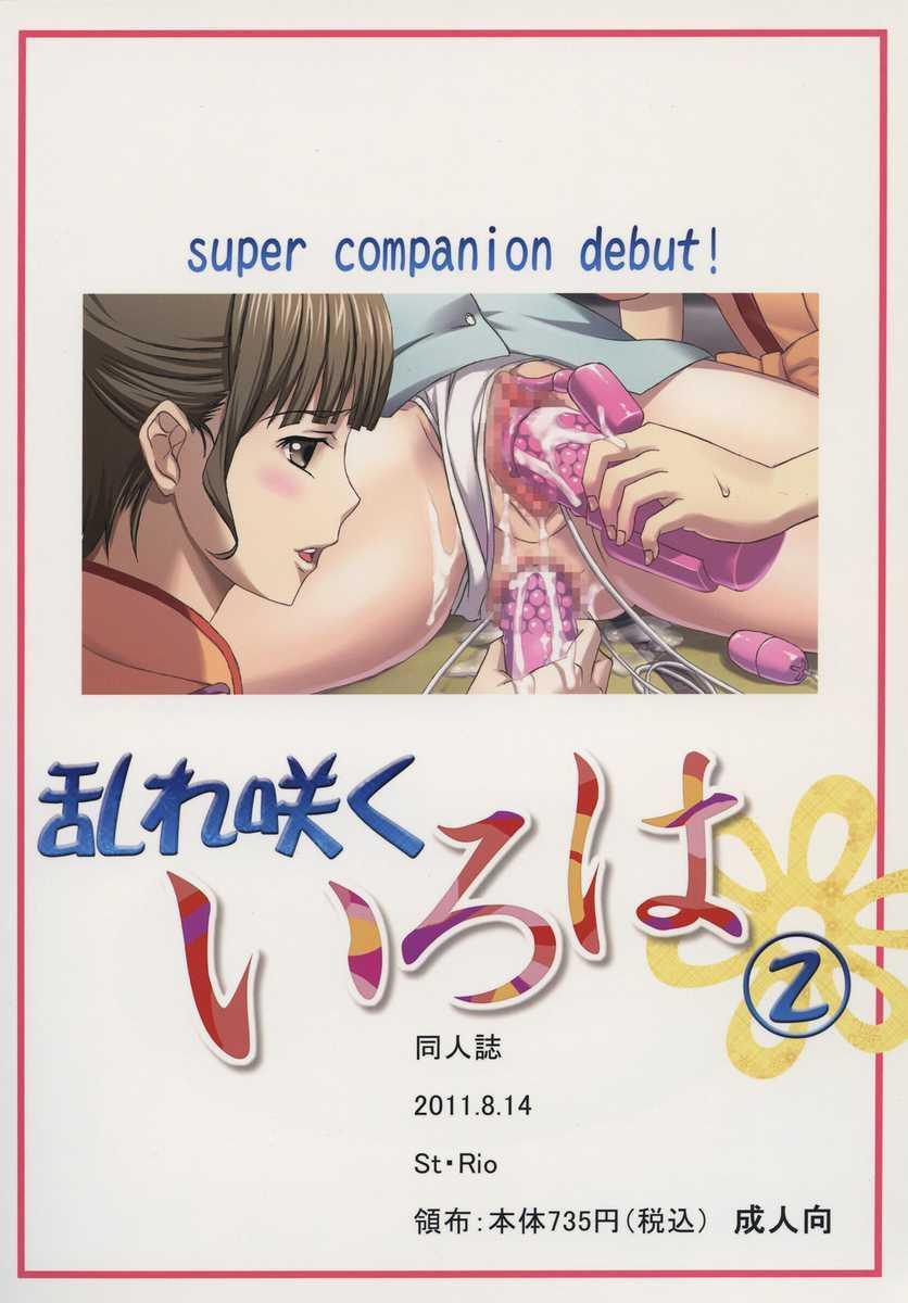 みだれさくいろは2スーパーコンパニオンデビュー！