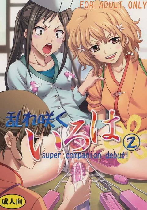みだれさくいろは2スーパーコンパニオンデビュー! みだれさくいろは2スーパーコンパニオンデビュー!