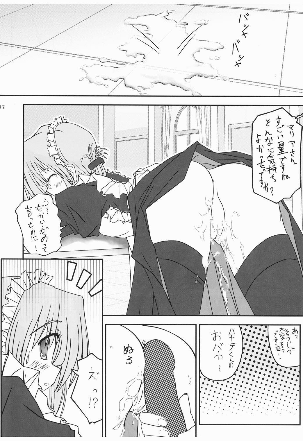 家政婦さんがみせ3