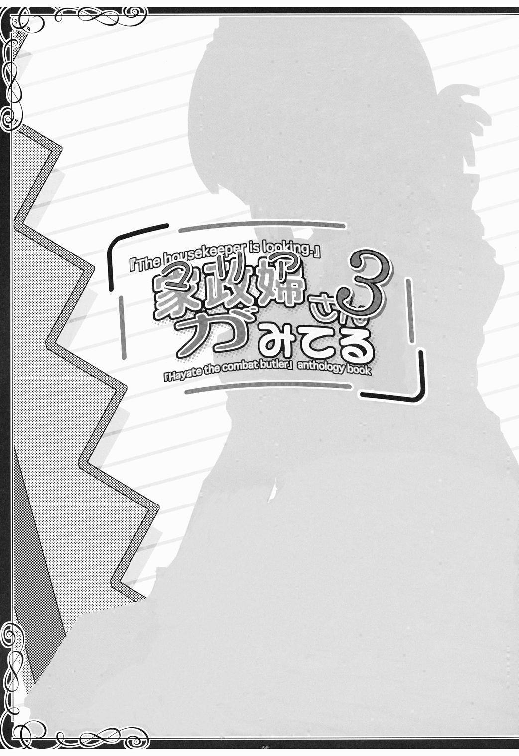 家政婦さんがみせ3