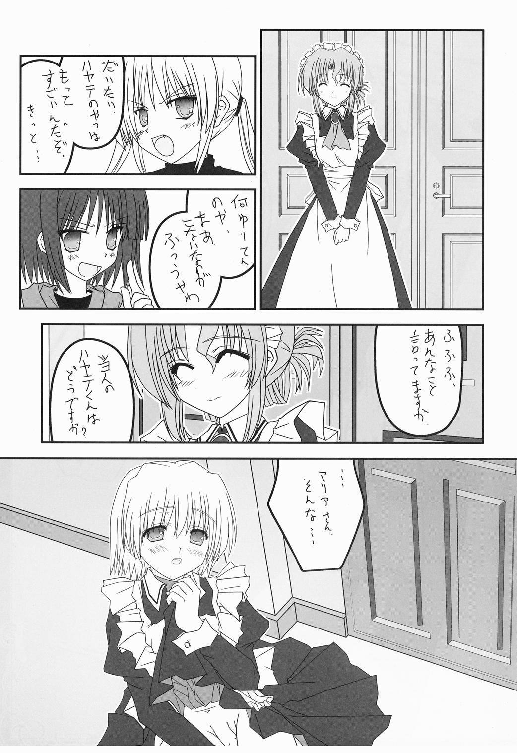家政婦さんがみせ3