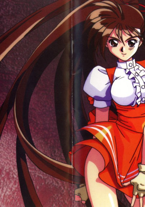 V.G.パーフェクトコレクションイラスト